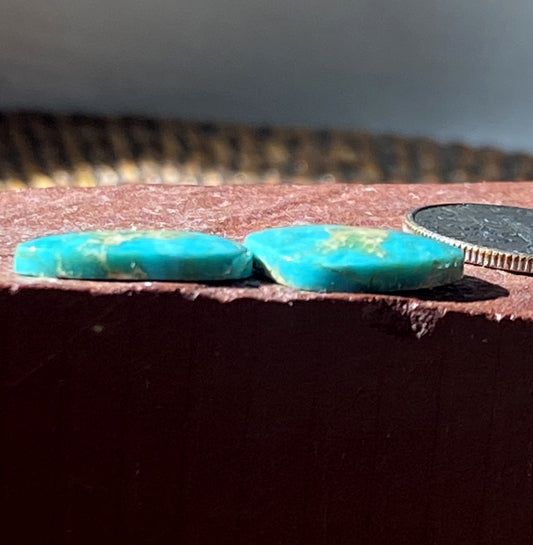 7 carats sea green Stone Mountain Turquoise cabochons