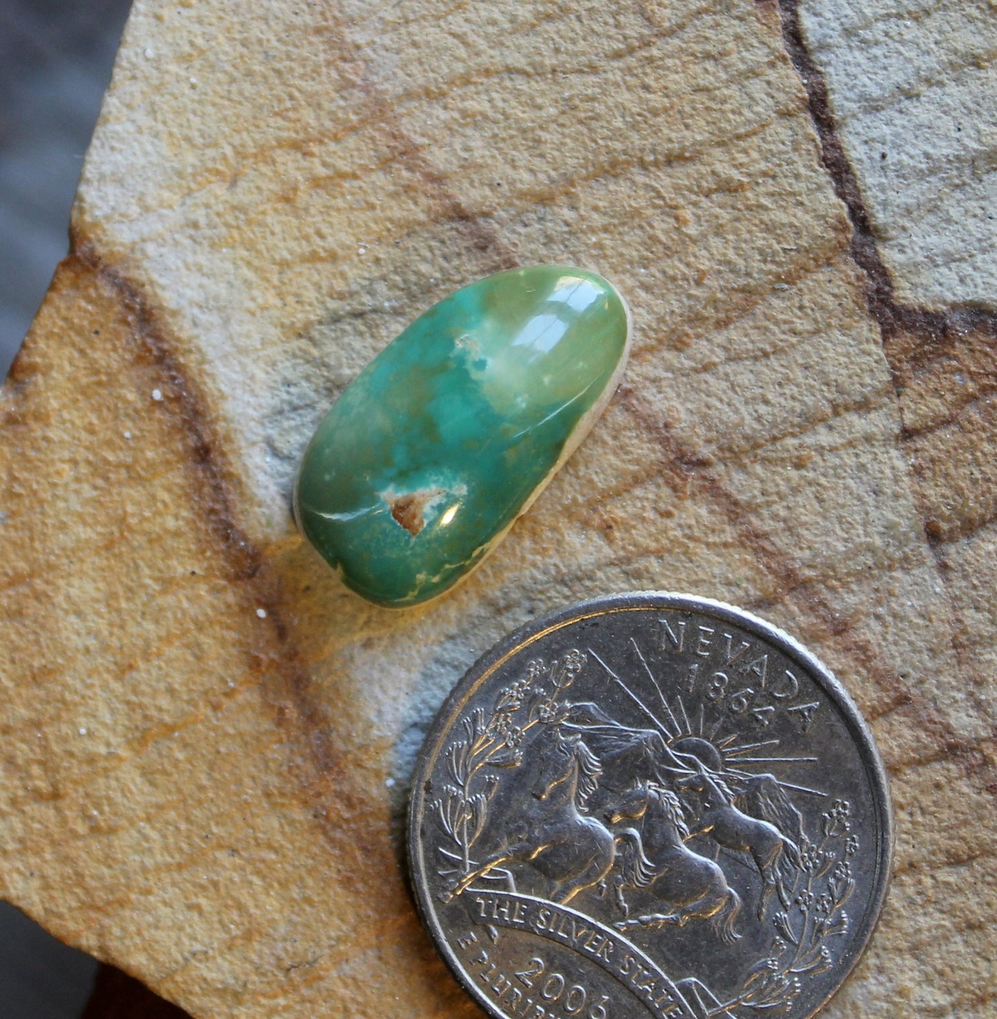 9 green Stone Mountain Turquoise cabochon