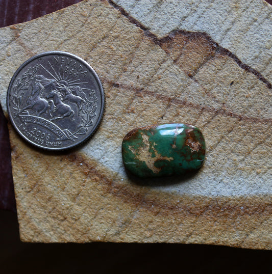 11 carat forest green Stone Mountain Turquoise cabochon