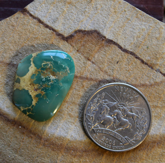 18 carat green Stone Mountain Turquoise cabochon with brown matrix