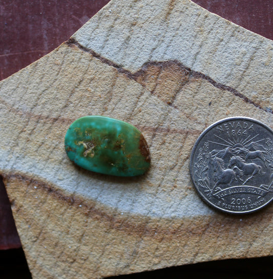 9 carat deep green Stone Mountain Turquoise cabochon