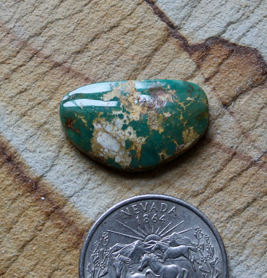12 carat green Stone Mountain Turquoise cabochon with grown matrix