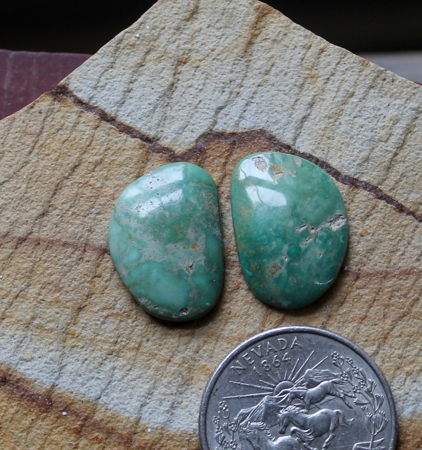 A pair of green Stone Mountain Turquoise cabochons with ocean tones