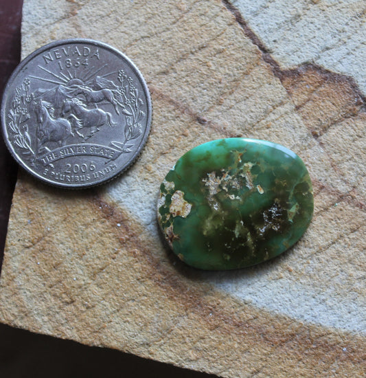 14 carat green Stone Mountain Turquoise cabochon
