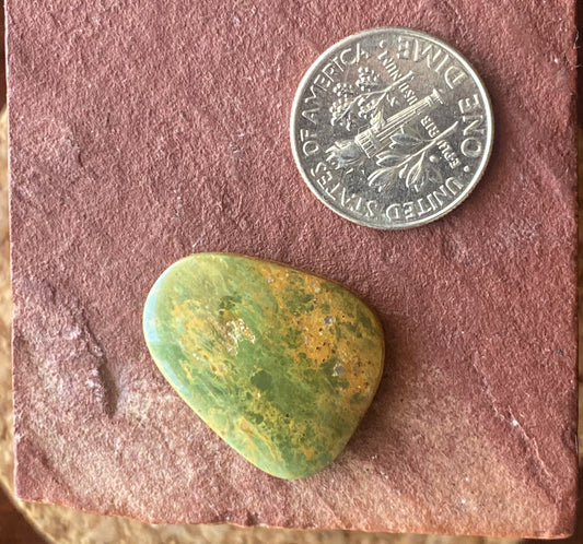 14 carat green Stone Mountain Turquoise cabochon