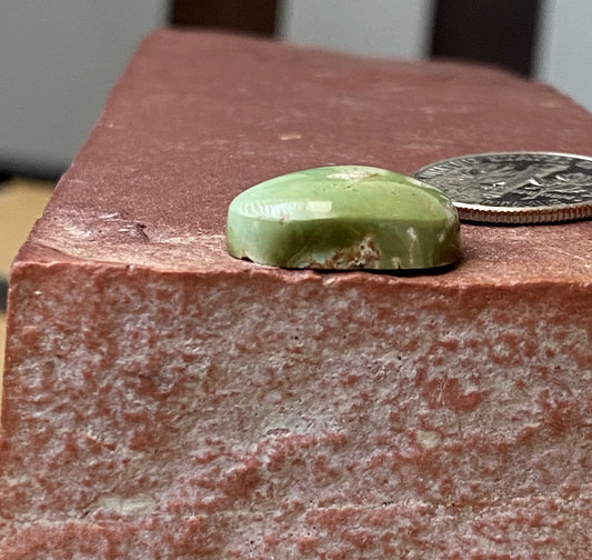 10 carat green Stone Mountain Turquoise cabochon with a high dome
