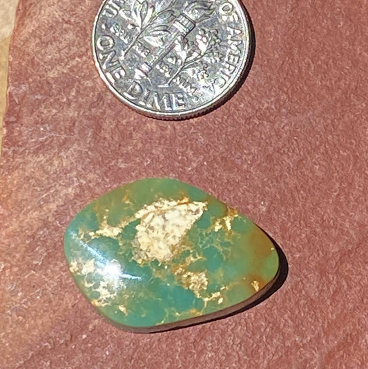 11 carat forest green Stone Mountain Turquoise cabochon