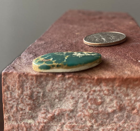 9 carat green Stone Mountain Turquoise cabochon with spiderweb matrix