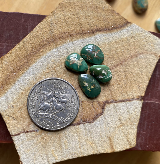12 carats natural dark green Stone Mountain Turquoise cabochons