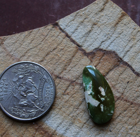 8 carat dark green Stone Mountain Turquoise cabochon