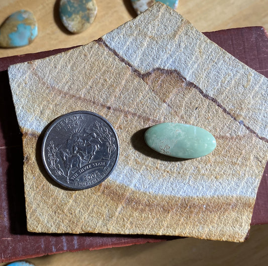 8 carat sea green Stone Mountain Turquoise cabochon