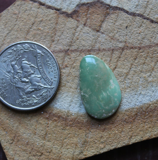 6 carat green Stone Mountain Turquoise cabochon