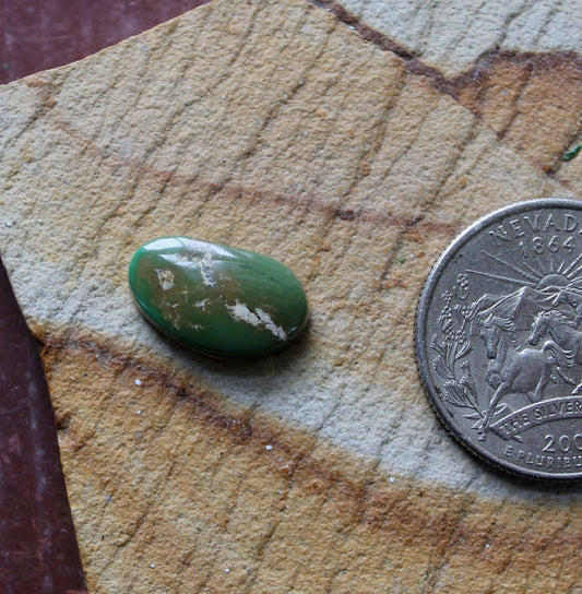 5 carat forest green Stone Mountain Turquoise cabochon