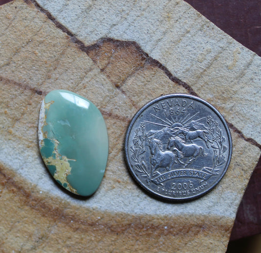 9 carat sea green Stone Mountain Turquoise cabochon
