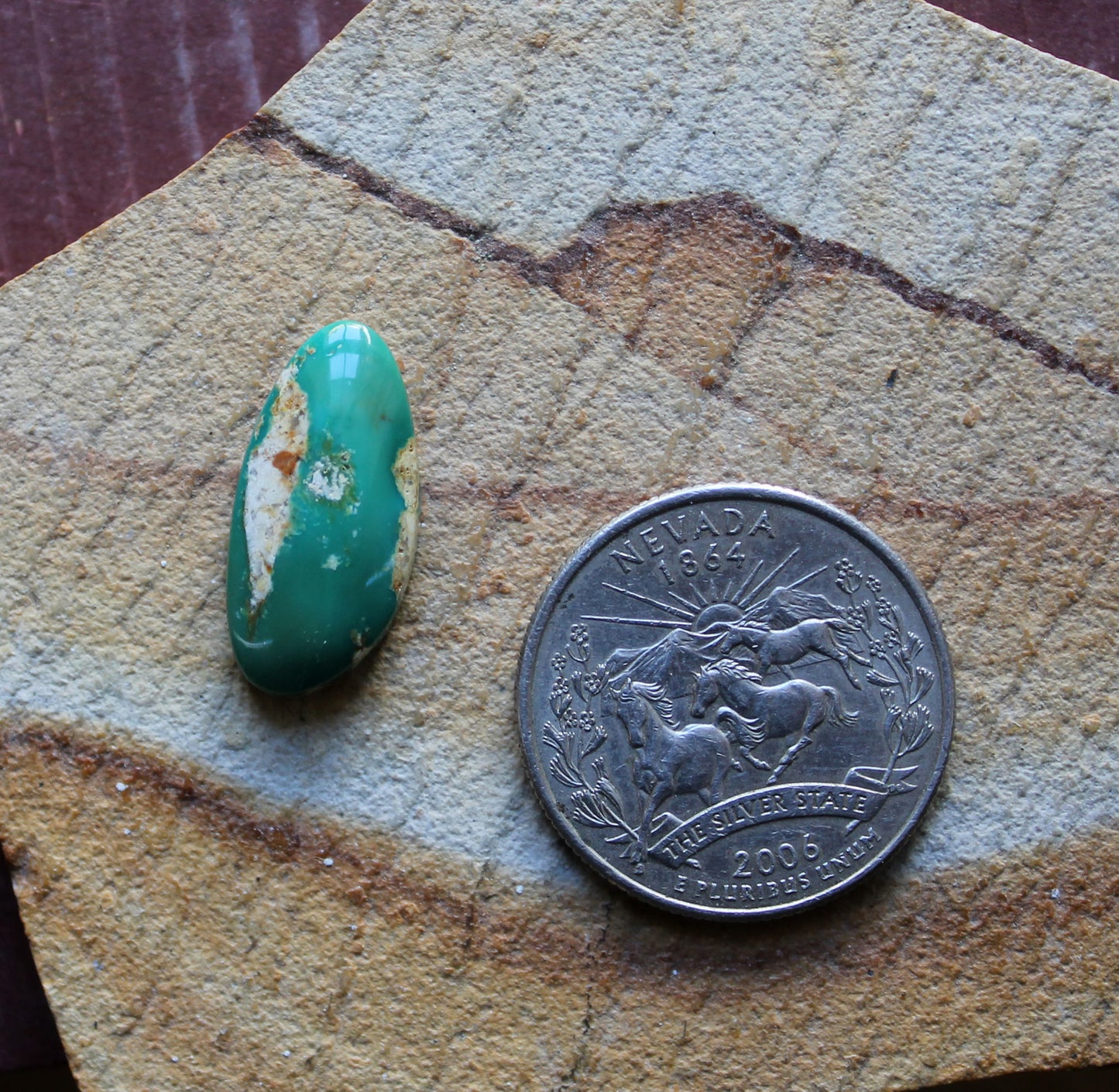 8 carat deep green Stone Mountain Turquoise cabochon