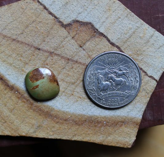 5.9 carat green Stone Mountain Turquoise cabochon