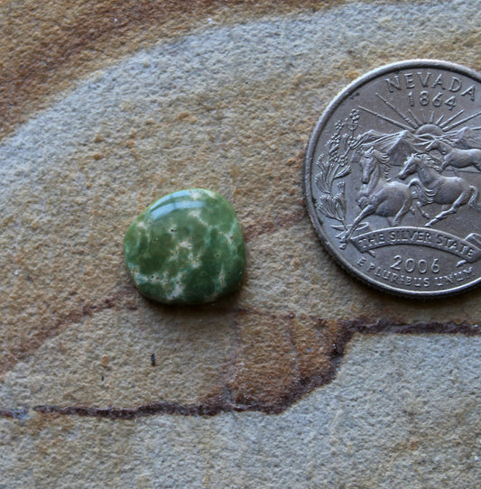3 carat green Stone Mountain Turquoise cabochon