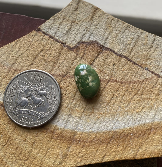 6 carat dark green natural Stone Mountain Turquoise cabochon