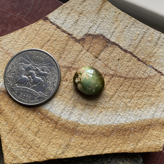 7 carat natural green Stone Mountain Turquoise cabochon