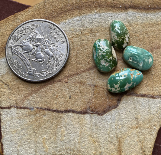 15 carats natural dark green Stone Mountain Turquoise cabochons