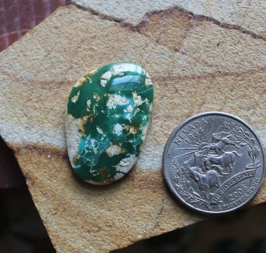 20 carat deep green Stone Mountain Turquoise cabochon