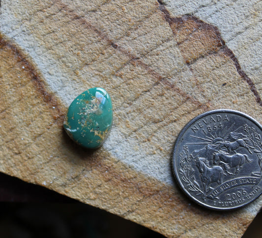 6 carat green Stone Mountain Turquoise cabochon