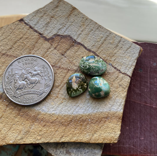 12 carats natural dark green Stone Mountain Turquoise cabochons