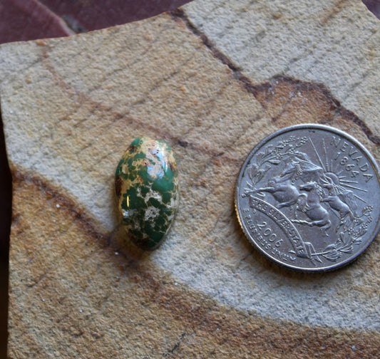 7 carat green Stone Mountain Turquoise cabochon