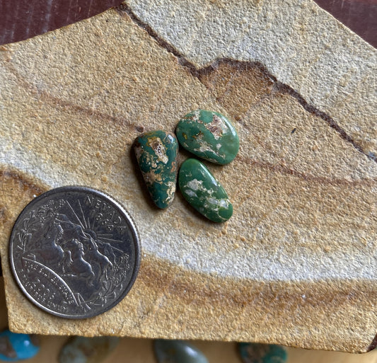 7 carats dark green Stone Mountain Turquoise cabochons