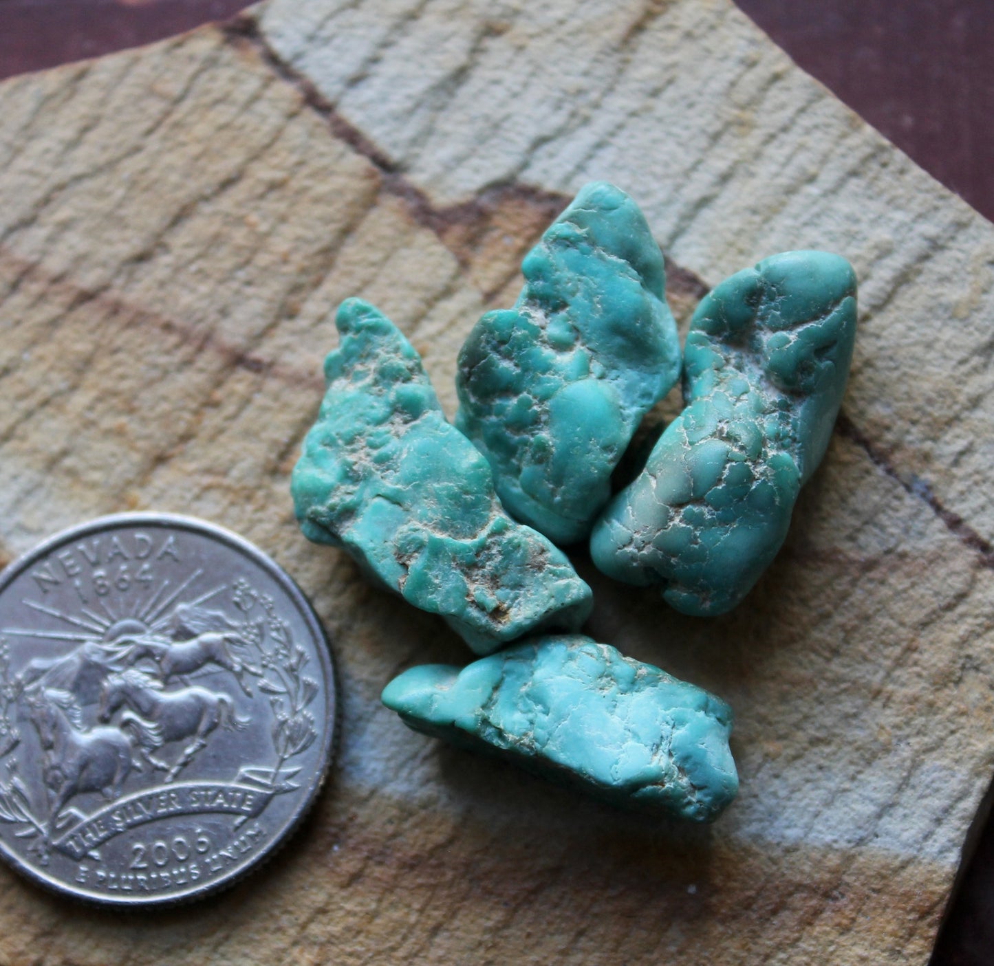 10 grams tumbled sea green Stone Mountain Turquoise nuggets
