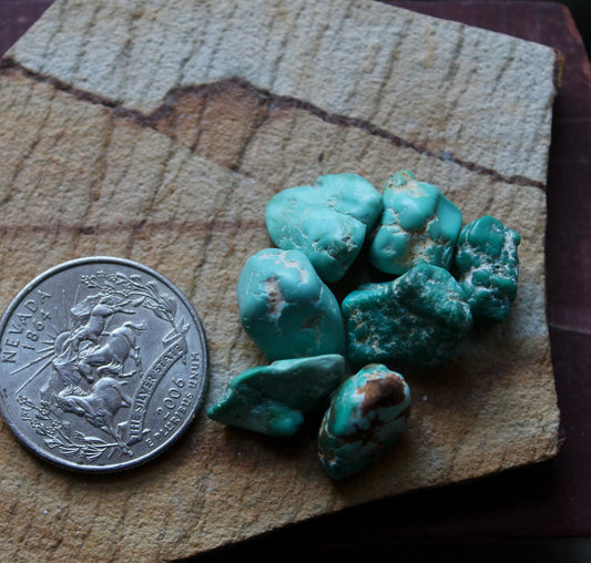 8 grams tumbled sea green Stone Mountain Turquoise nuggets