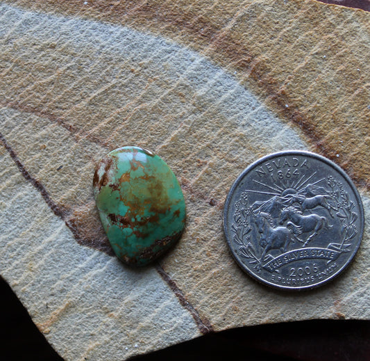 7 carat green Stone Mountain Turquoise cabochon