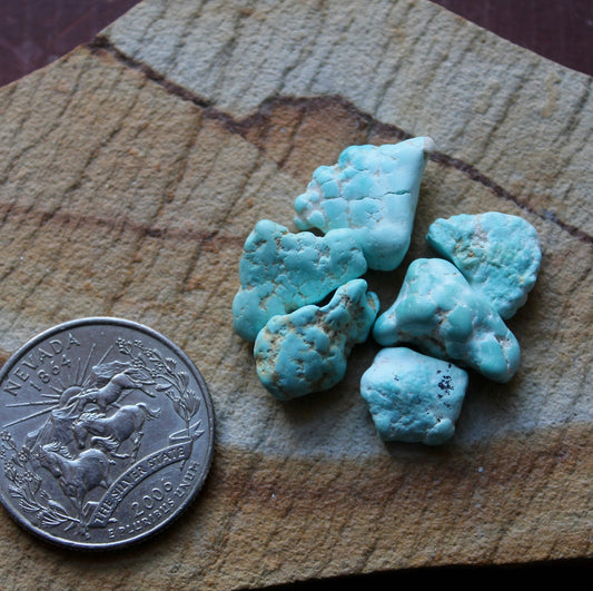 5 grams tumbled light blue Stone Mountain Turquoise nuggets