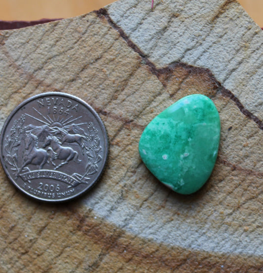 12 carat green natural Utah varscite cabochon