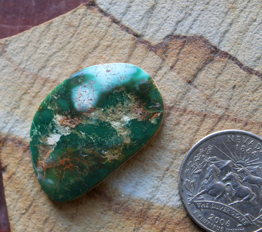 31 carat color change Stone Mountain Turquoise cabochon flat top