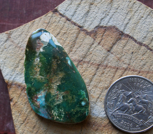 42 carat dark green Stone Mountain Turquoise cabochon flat top
