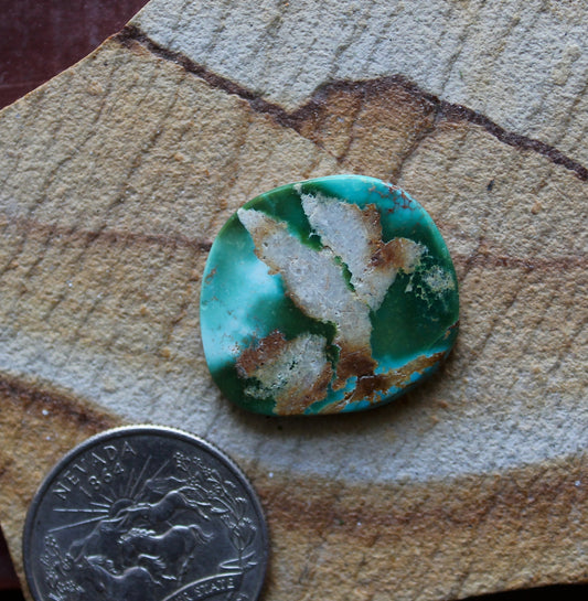 19 carat boulder cut Stone Mountain Turquoise cabochon