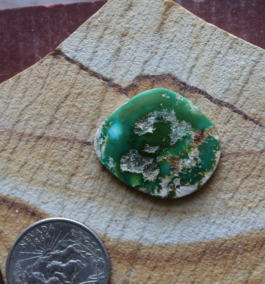 18 carat deep green Stone Mountain Turquoise cabochon