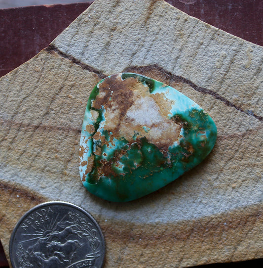31 carat boulder cut Stone Mountain Turquoise cabochon