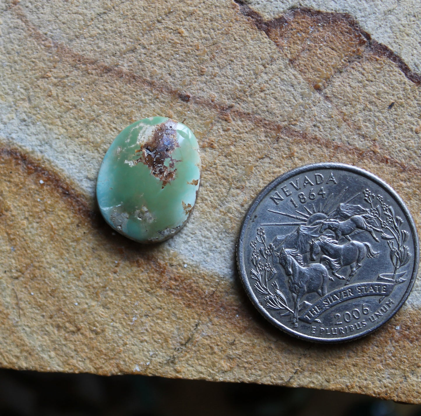 6 carat color change Stone Mountain Turquoise Nevada cabochon