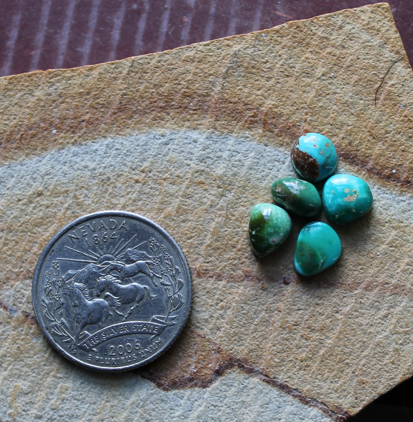 7 carat color change Stone Mountain Turquoise cabochons