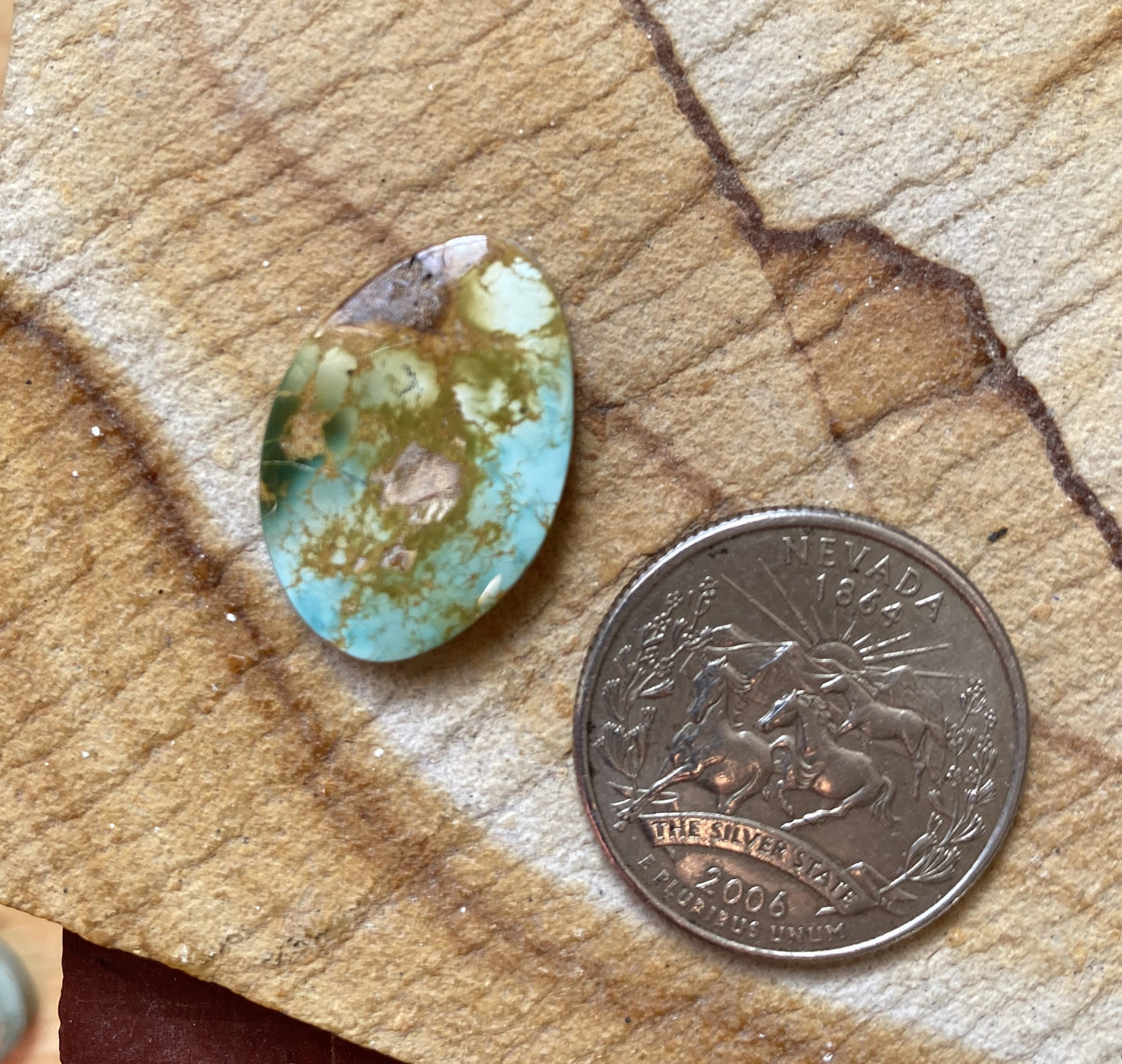 11 carat color change Stone Mountain Turquoise Nevada cabochon