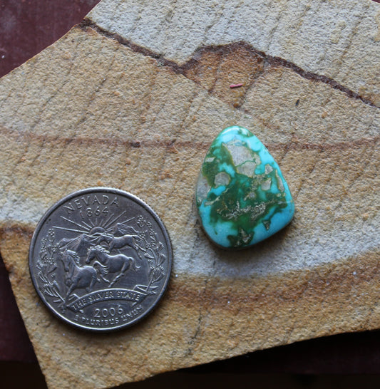 15 carat color change Stone Mountain Turquoise cabochon