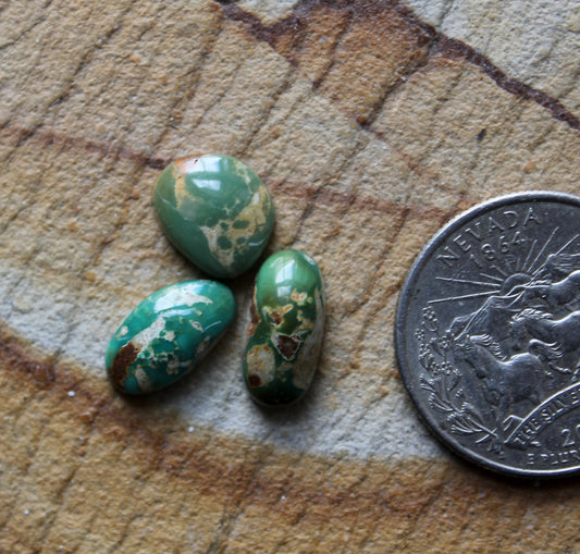 A trio of teal green Stone Mountain Turquoise cabochons