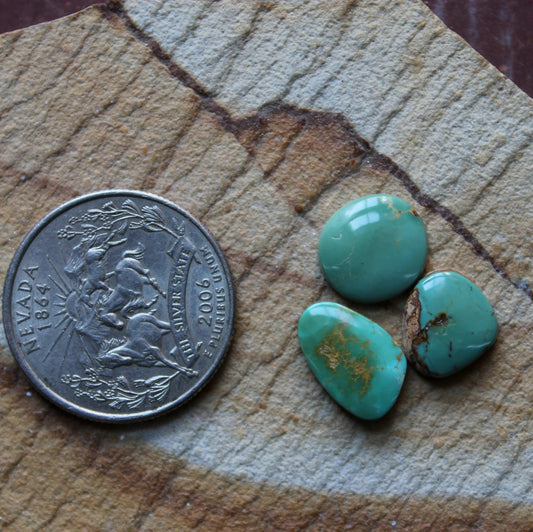 A trio of green-teal Stone Mountain Turquoise cabochons