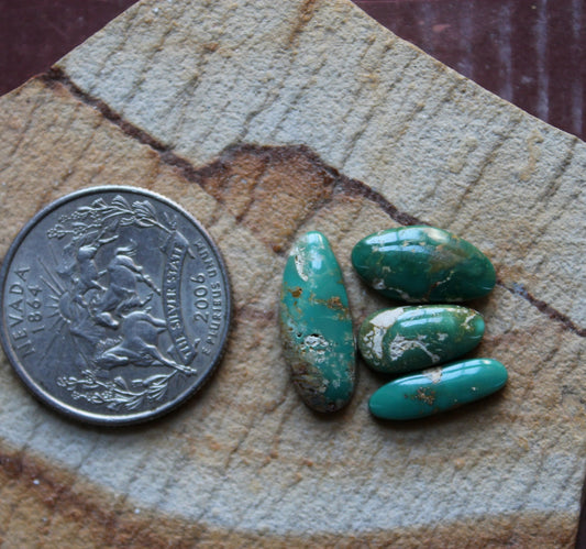 A mix of green Stone Mountain Turquoise cabochons