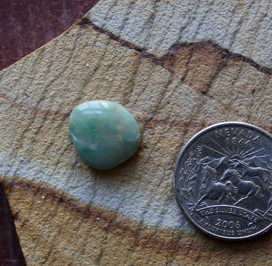 6 carat green Stone Mountain Turquoise cabochon