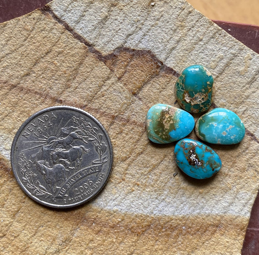 A mix of color for these small Stone Mountain Turquoise cabochons