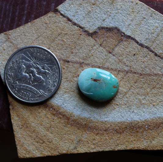 9 carat teal green Stone Mountain Turquoise cabochon with a high dome