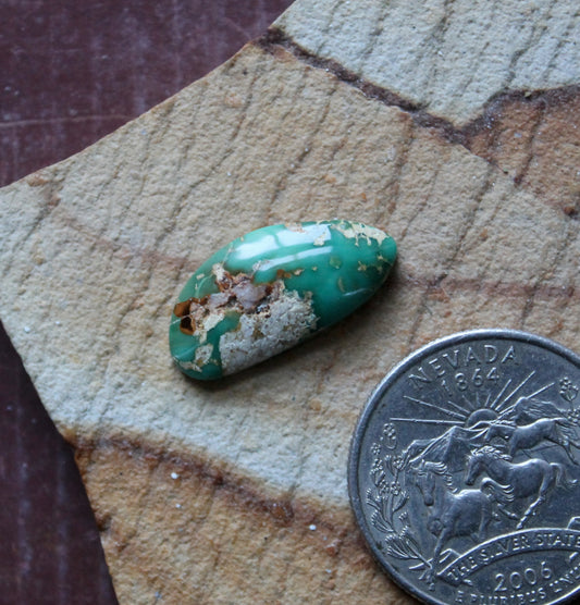 6 carat teal green Stone Mountain Turquoise cabochon